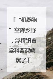 “机器狗”空降乡野，浮桥镇首堂科普课嗨爆了