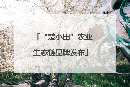 “楚小田”农业生态链品牌发布