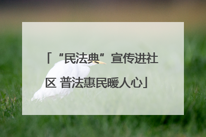 “民法典”宣传进社区 普法惠民暖人心