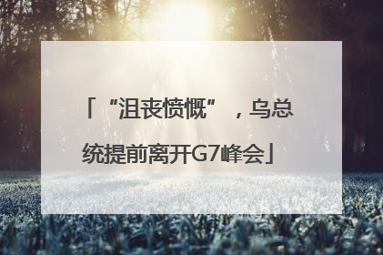 “沮丧愤慨”，乌总统提前离开G7峰会