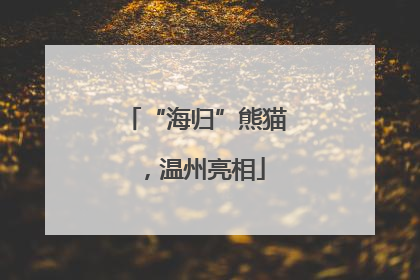 “海归”熊猫，温州亮相