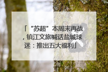 “苏超”本周末再战，镇江文旅喊话盐城球迷：推出五大福利