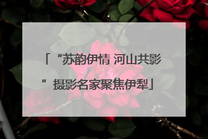 “苏韵伊情 河山共影”摄影名家聚焦伊犁