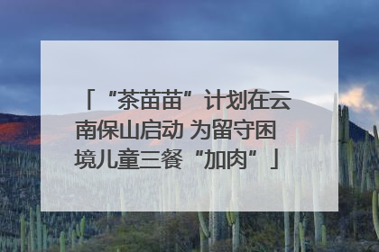 “茶苗苗”计划在云南保山启动 为留守困境儿童三餐“加肉”