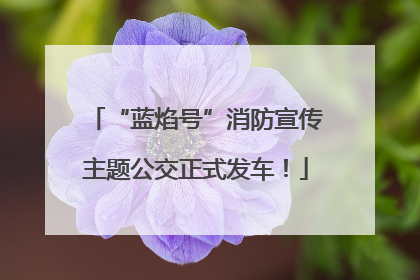 “蓝焰号”消防宣传主题公交正式发车！
