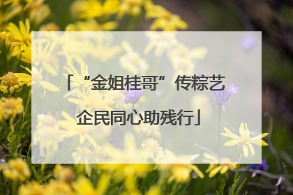 “金姐桂哥”传粽艺 企民同心助残行