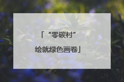 “零碳村” 绘就绿色画卷