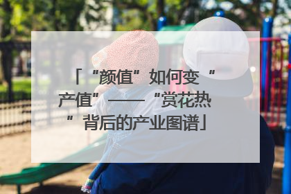 “颜值”如何变“产值”——“赏花热”背后的产业图谱