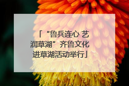 “鲁兵连心 艺润草湖”齐鲁文化进草湖活动举行
