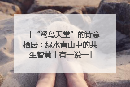 “鹭鸟天堂”的诗意栖居：绿水青山中的共生智慧丨有一说一