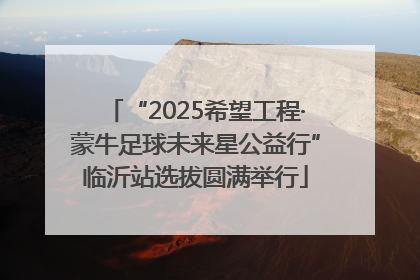“2025希望工程·蒙牛足球未来星公益行”临沂站选拔圆满举行