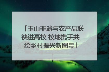 玉山非遗与农产品联袂进高校 校地携手共绘乡村振兴新图景