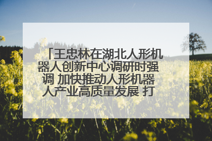 王忠林在湖北人形机器人创新中心调研时强调 加快推动人形机器人产业高质量发展 打造具有全国影响力的研发创新基地