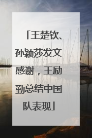 王楚钦、孙颖莎发文感谢，王励勤总结中国队表现