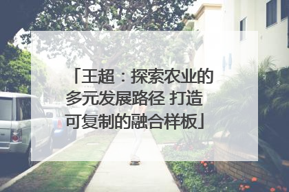 王超：探索农业的多元发展路径 打造可复制的融合样板