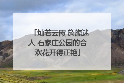 灿若云霞 旖旎迷人 石家庄公园的合欢花开得正艳