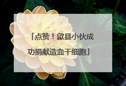 点赞！歙县小伙成功捐献造血干细胞