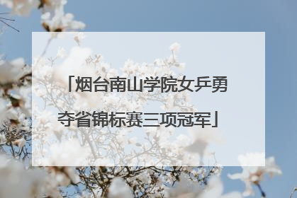 烟台南山学院女乒勇夺省锦标赛三项冠军