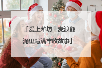 爱上潍坊丨麦浪翻涌里写满丰收故事