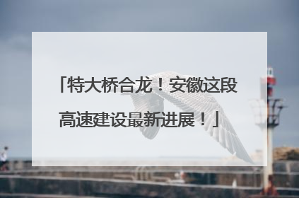 特大桥合龙！安徽这段高速建设最新进展！