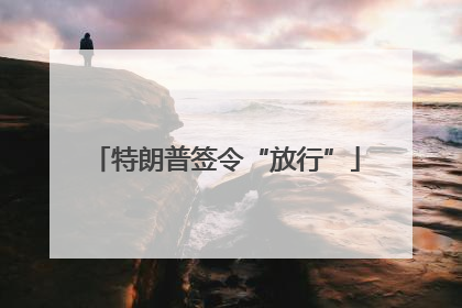 特朗普签令“放行”