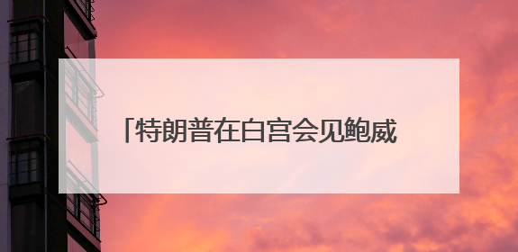 特朗普在白宫会见鲍威尔 讨论经济发展情况