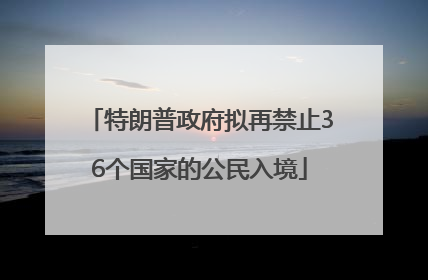 特朗普政府拟再禁止36个国家的公民入境