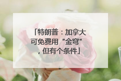 特朗普：加拿大可免费用“金穹”，但有个条件