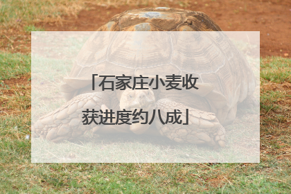 石家庄小麦收获进度约八成