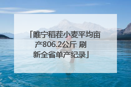 睢宁稻茬小麦平均亩产806.2公斤 刷新全省单产纪录