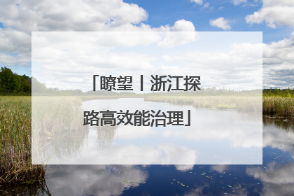 瞭望丨浙江探路高效能治理