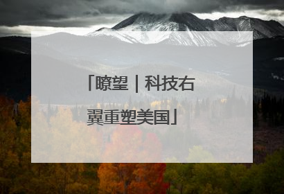 瞭望｜科技右翼重塑美国