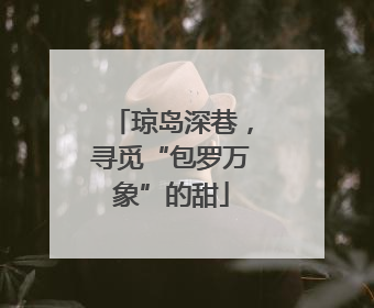 琼岛深巷，寻觅“包罗万象”的甜