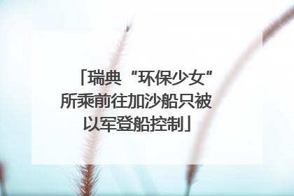 瑞典“环保少女”所乘前往加沙船只被以军登船控制