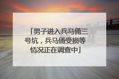 男子进入兵马俑三号坑，兵马俑受损等情况正在调查中