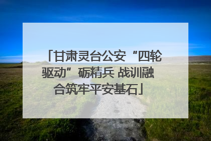 甘肃灵台公安“四轮驱动”砺精兵 战训融合筑牢平安基石