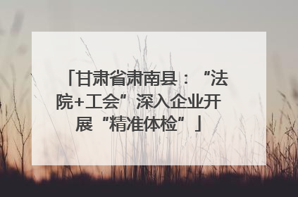 甘肃省肃南县：“法院+工会”深入企业开展“精准体检”
