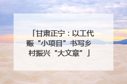 甘肃正宁：以工代赈“小项目”书写乡村振兴“大文章”