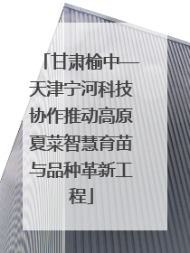 甘肃榆中—天津宁河科技协作推动高原夏菜智慧育苗与品种革新工程