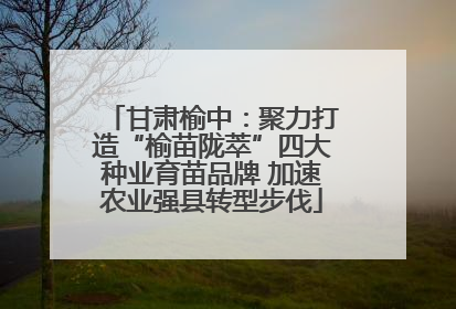 甘肃榆中：聚力打造“榆苗陇萃”四大种业育苗品牌 加速农业强县转型步伐