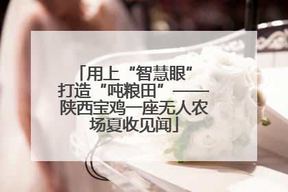 用上“智慧眼” 打造“吨粮田”——陕西宝鸡一座无人农场夏收见闻