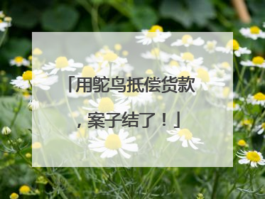 用鸵鸟抵偿货款，案子结了！