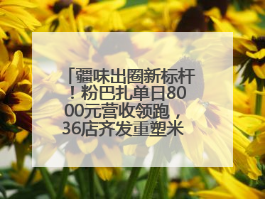 疆味出圈新标杆！粉巴扎单日8000元营收领跑，36店齐发重塑米粉赛道格局