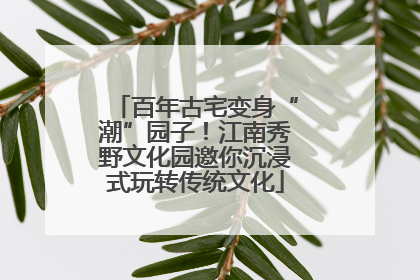 百年古宅变身“潮”园子！江南秀野文化园邀你沉浸式玩转传统文化