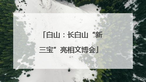 白山：长白山“新三宝”亮相文博会