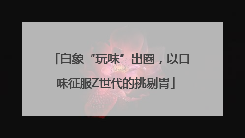 白象“玩味”出圈，以口味征服Z世代的挑剔胃