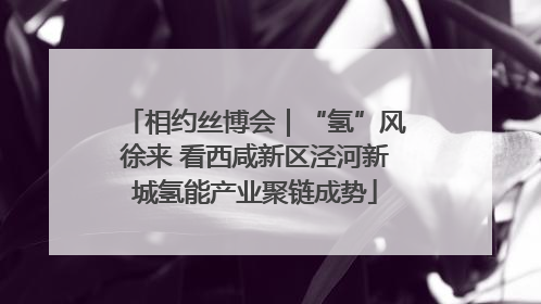 相约丝博会｜“氢”风徐来 看西咸新区泾河新城氢能产业聚链成势