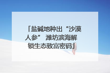 盐碱地种出“沙漠人参” 潍坊滨海解锁生态致富密码
