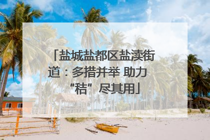 盐城盐都区盐渎街道：多措并举 助力“秸”尽其用