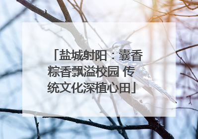 盐城射阳：囊香粽香飘溢校园 传统文化深植心田